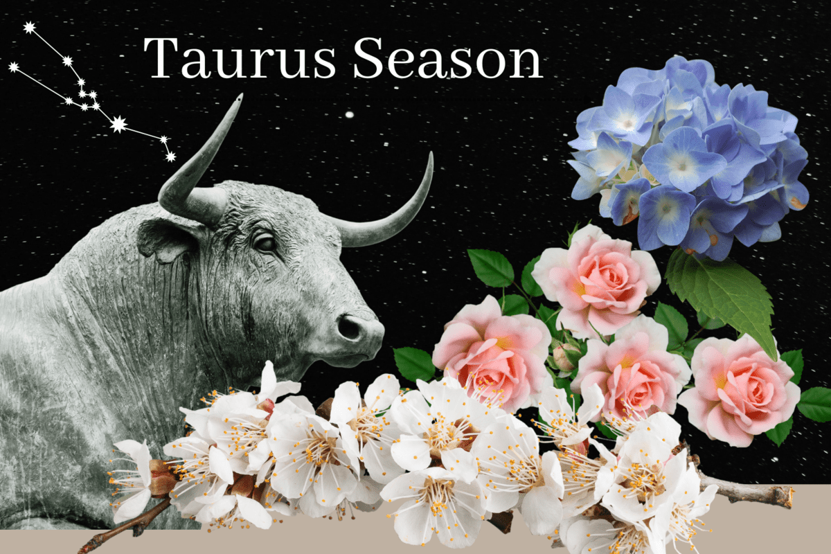 5 Ways to Live your Best Life during Taurus Season