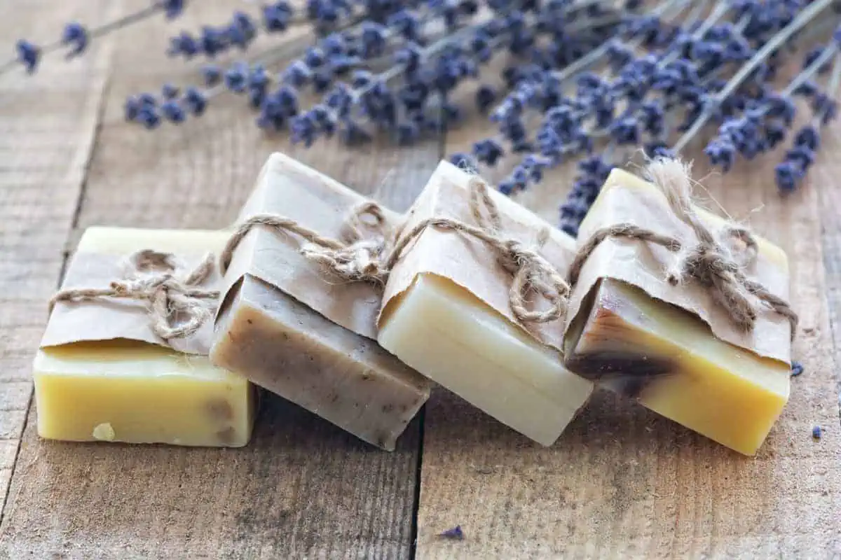 Why You’ll Never Regret the Switch to Zero Waste Shampoo Bars