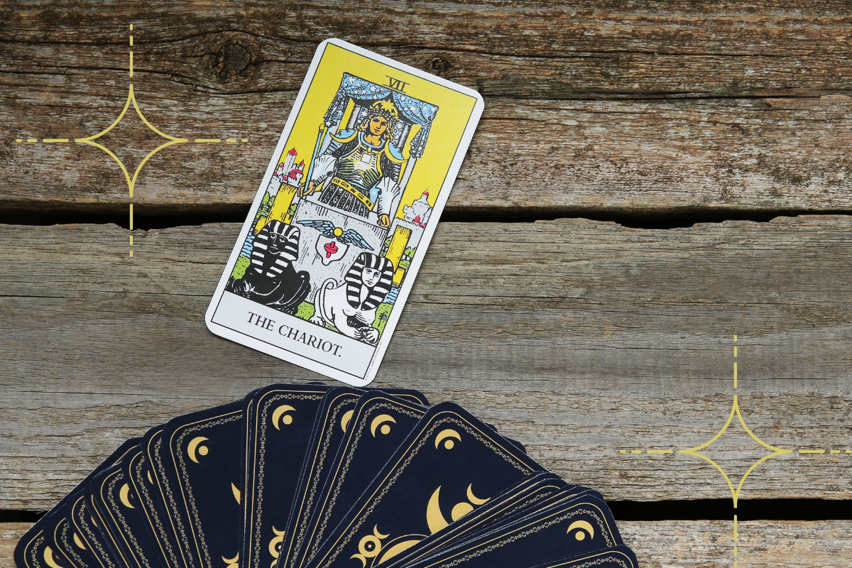 the chariot tarot card.